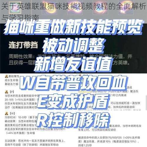 关于英雄联盟猫咪技能视频教程的全面解析与学习指南