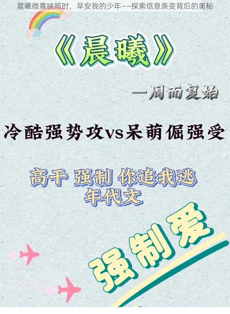 晨曦微熹映照时，早安我的少年——探索信息条变背后的奥秘