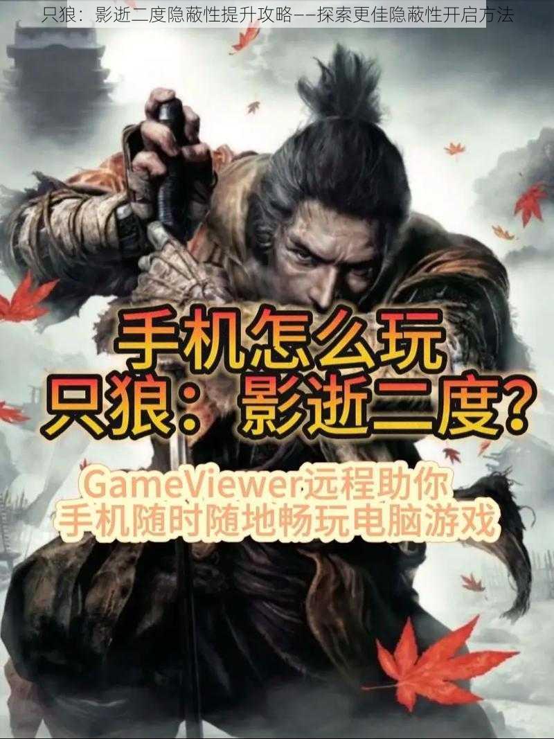 只狼：影逝二度隐蔽性提升攻略——探索更佳隐蔽性开启方法