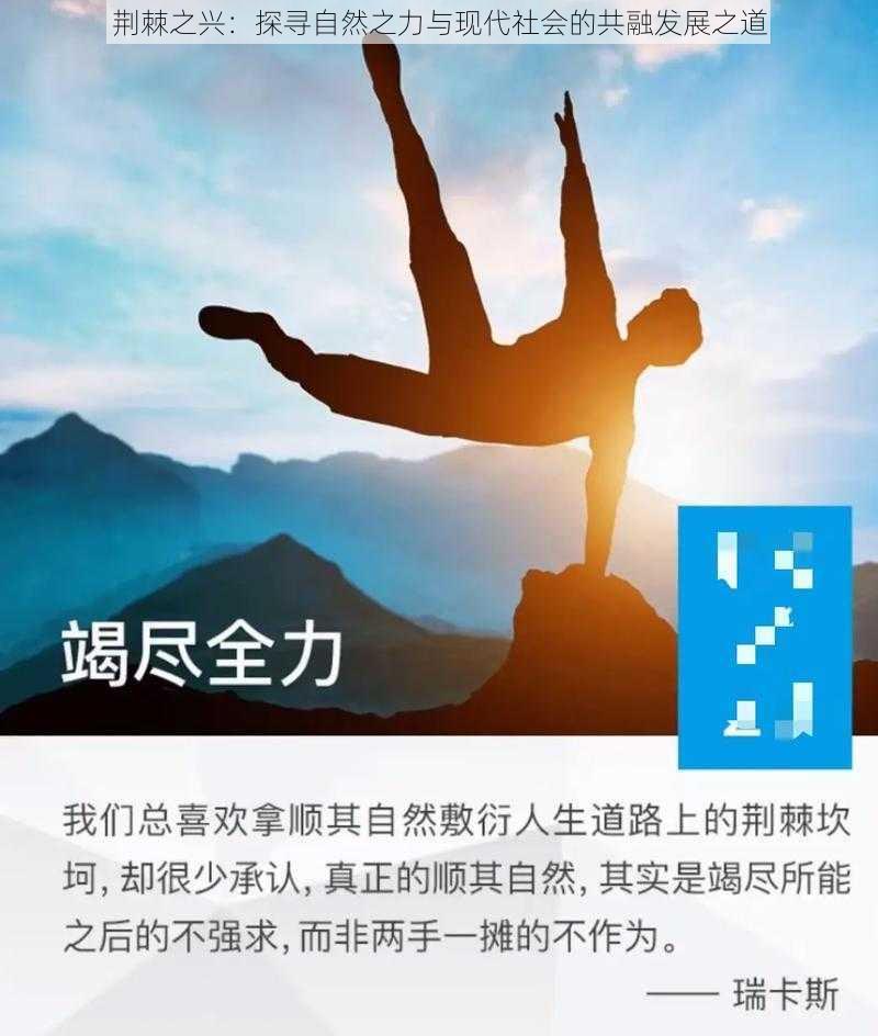 荆棘之兴：探寻自然之力与现代社会的共融发展之道